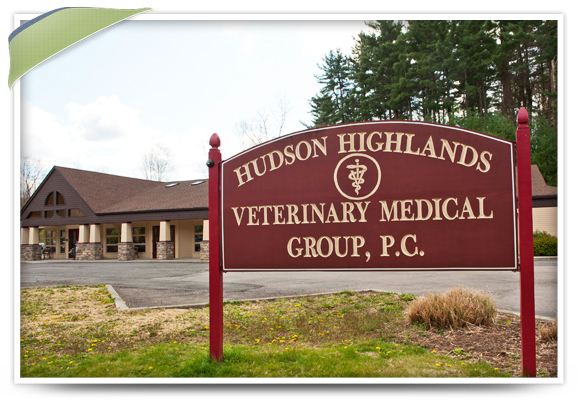 About Our Hopewell Junction Animal Hospital